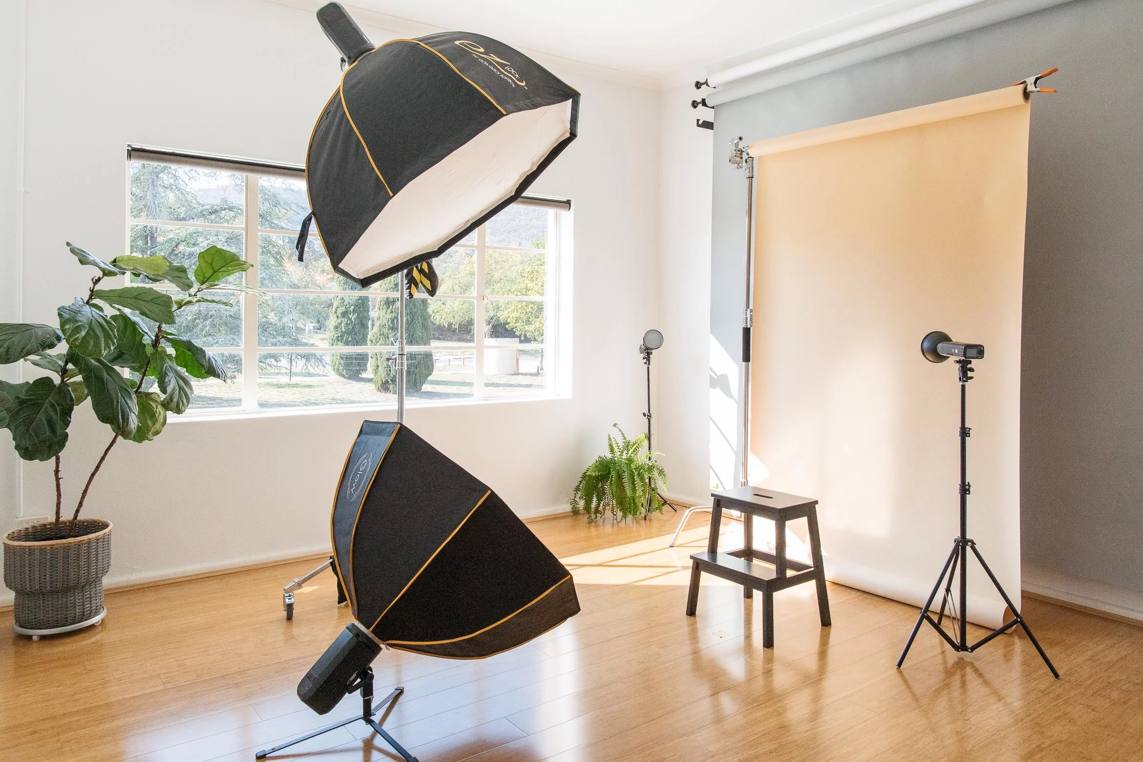 headshot photography studio in Canberra